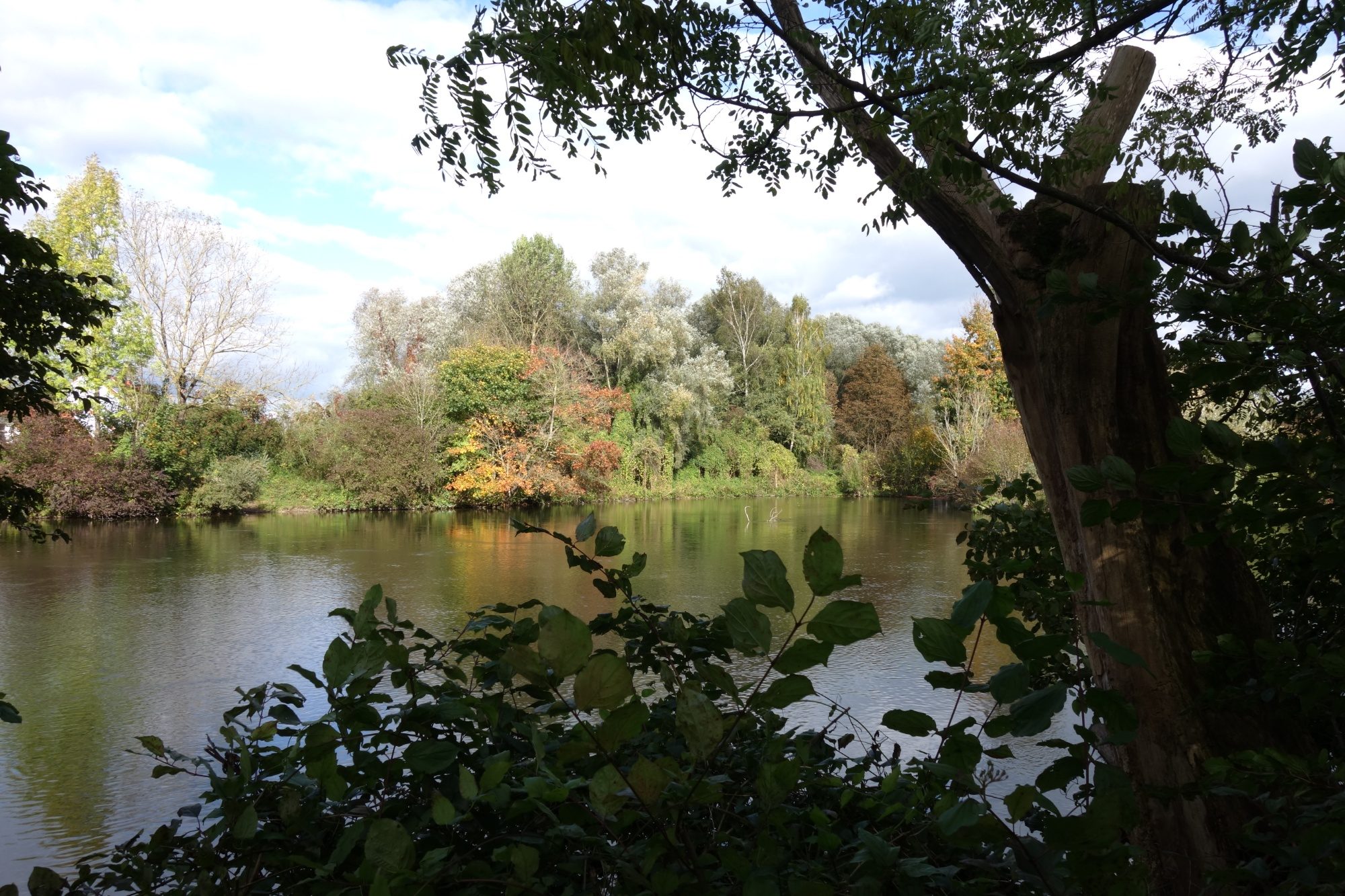 Amper mit herbstlichen Bäumen am Ufer