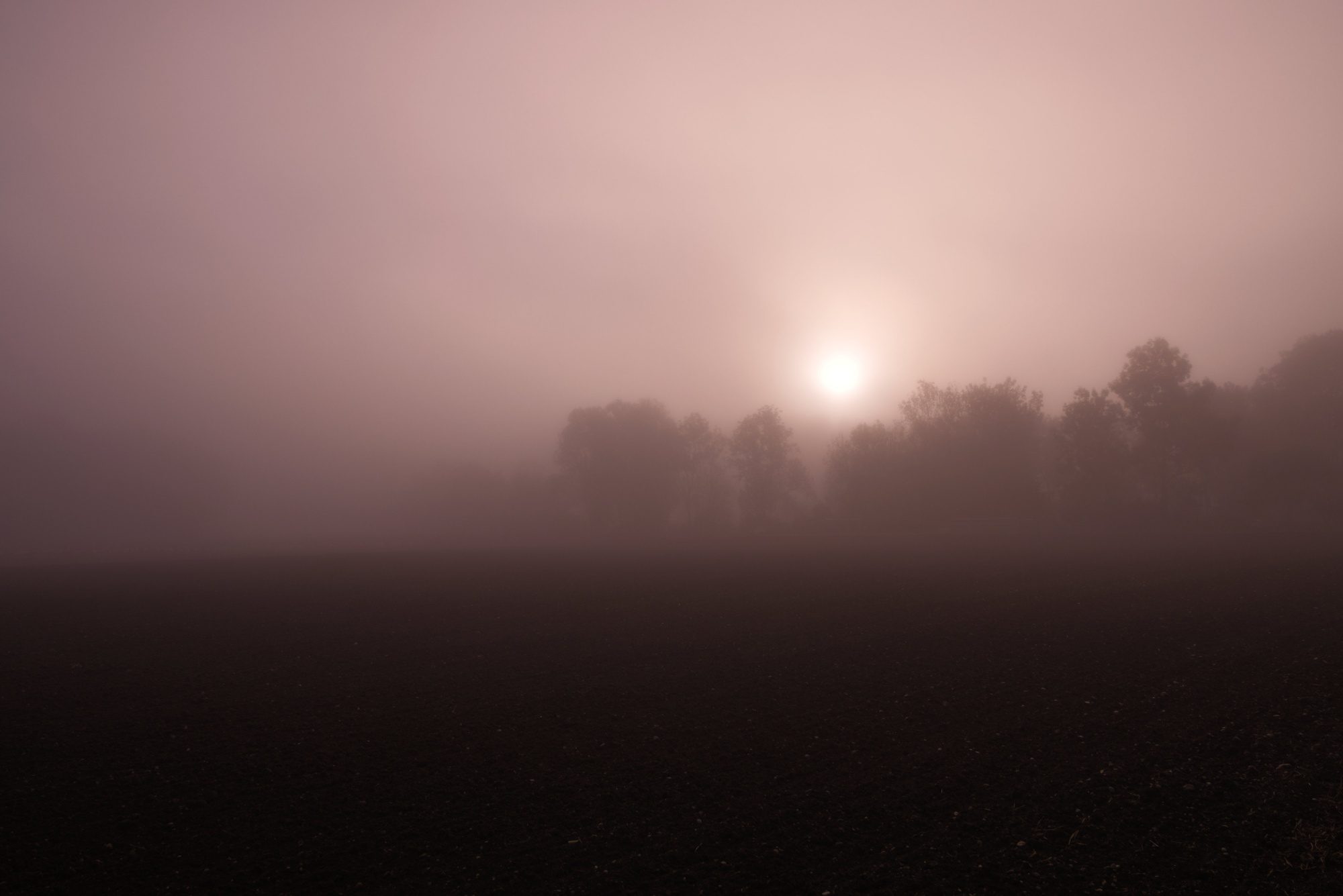 Aufgehende Sonne hinter Nebelschleier