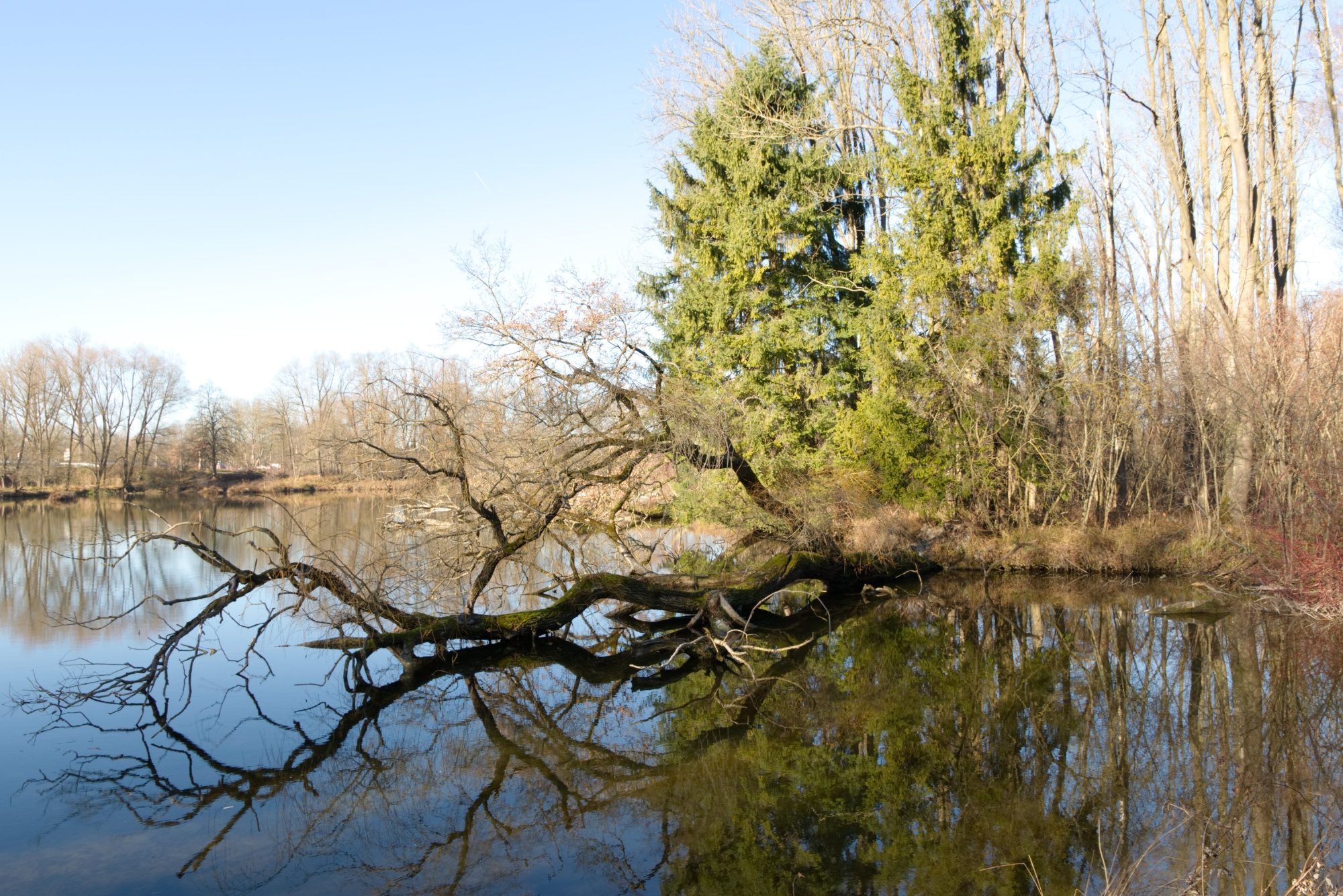 Mühlweiher mit Blick nach Osten