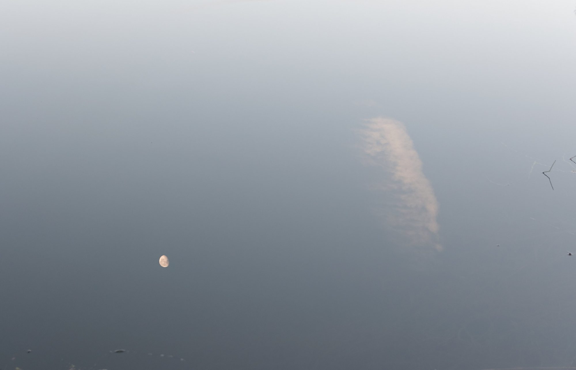 Mond und Wolke spiegeln sich im Weiher