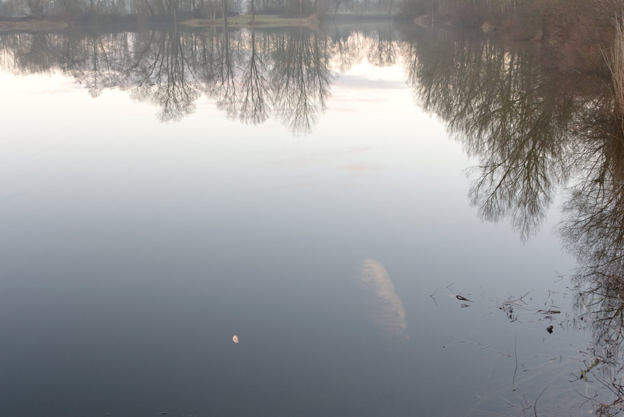 Bäume, Mond und Wolke spiegeln sich im Weiher
