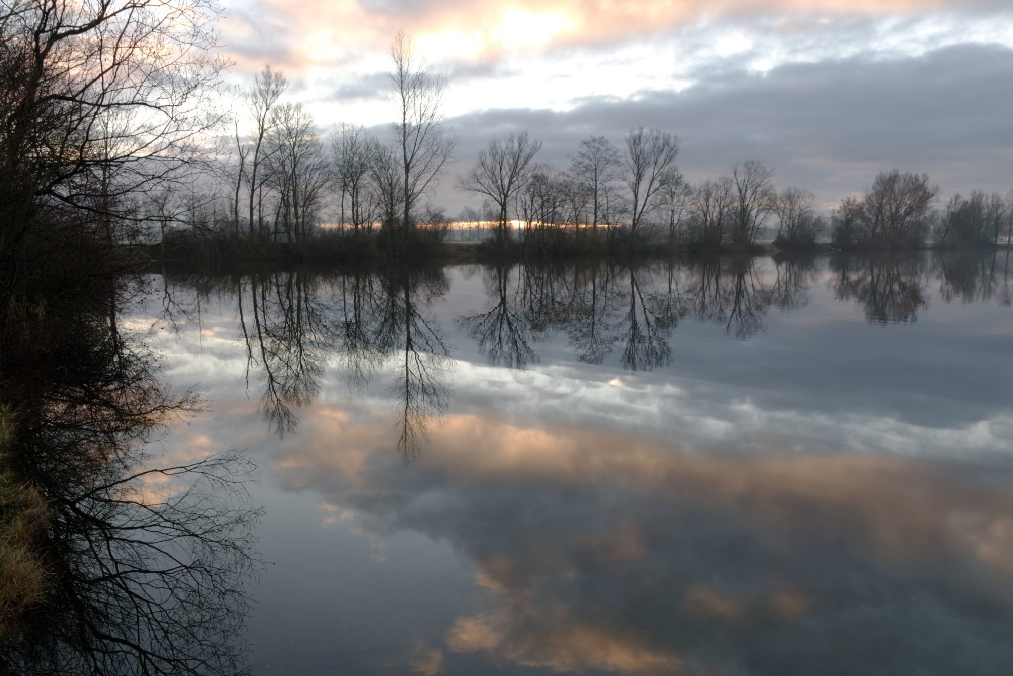 Spiegelungen im Weiher