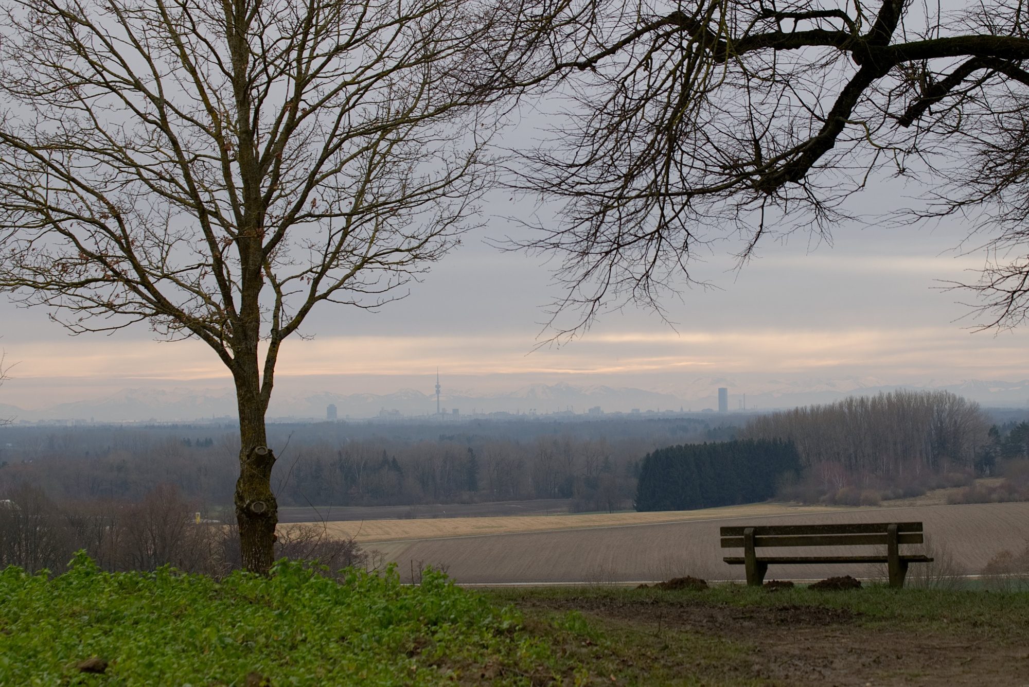 Aussicht auf Olympiaturm und Alpen