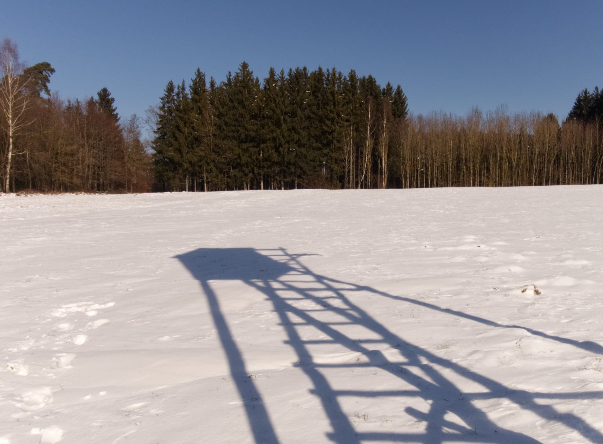 Der Schatten eines Hochsitzes im Schnee