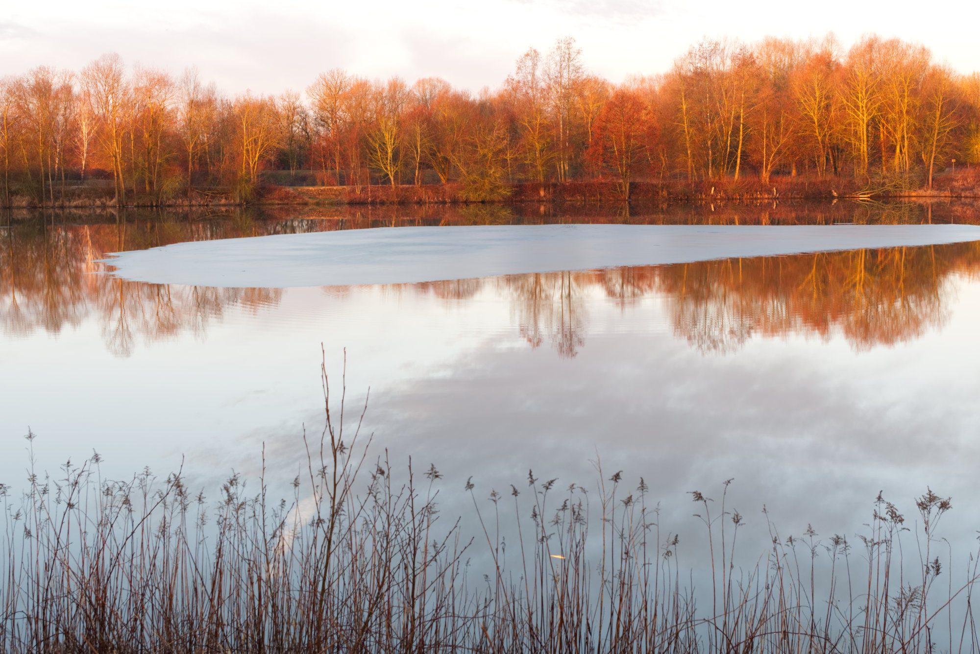 Weiher in der roten Morgensonne