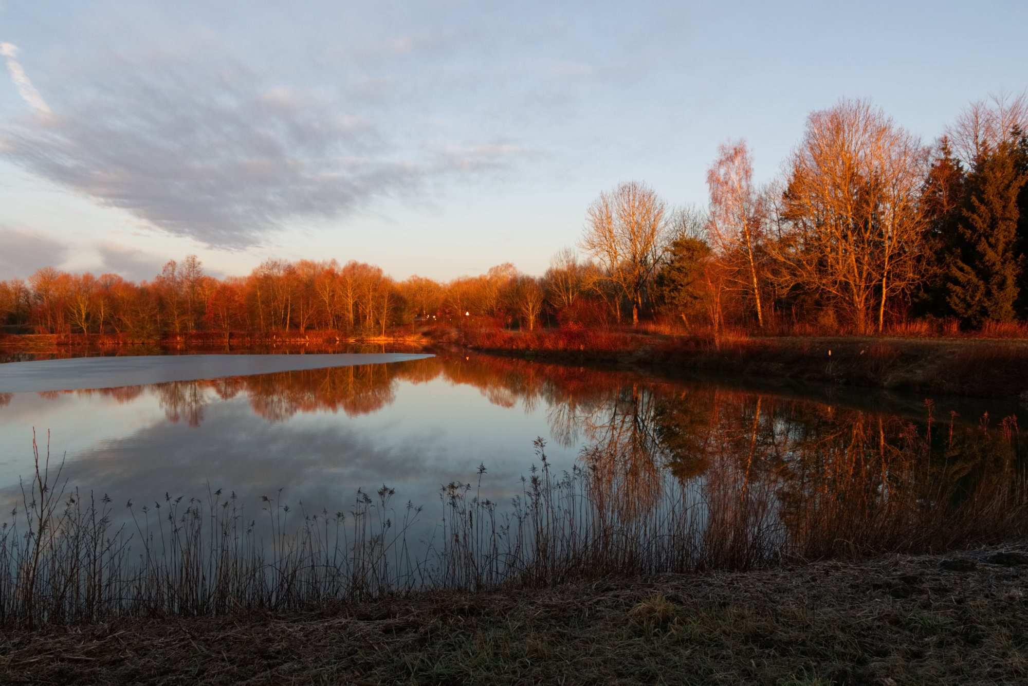 Weiher in der roten Morgensonne