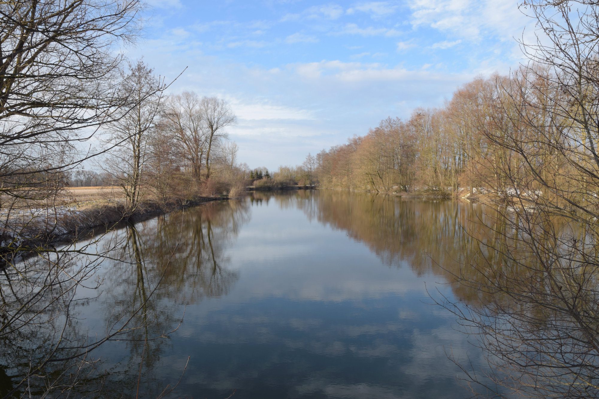 Fischweiher im Hackermoos