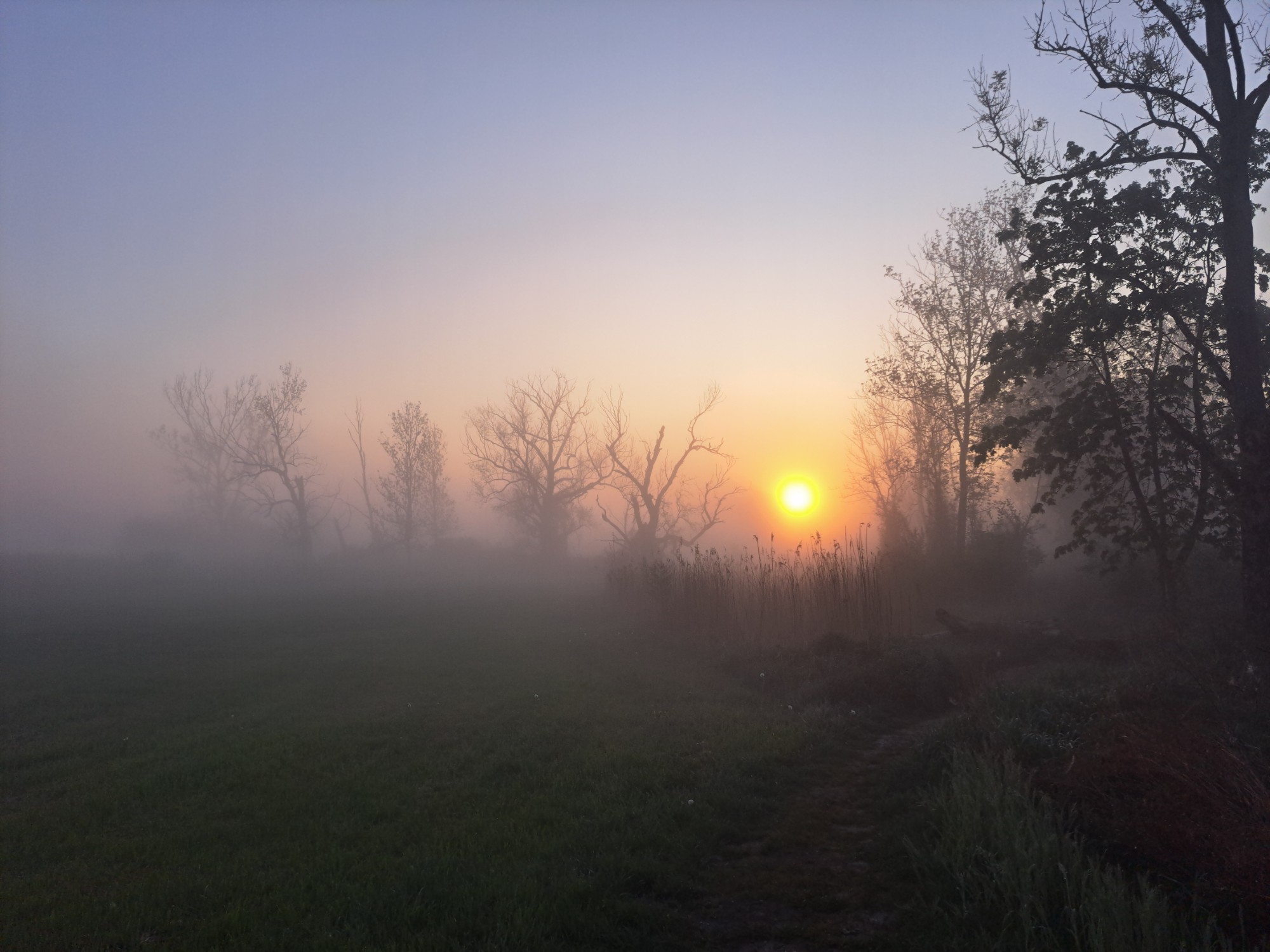 Sonnenaufgang in den Amperauen