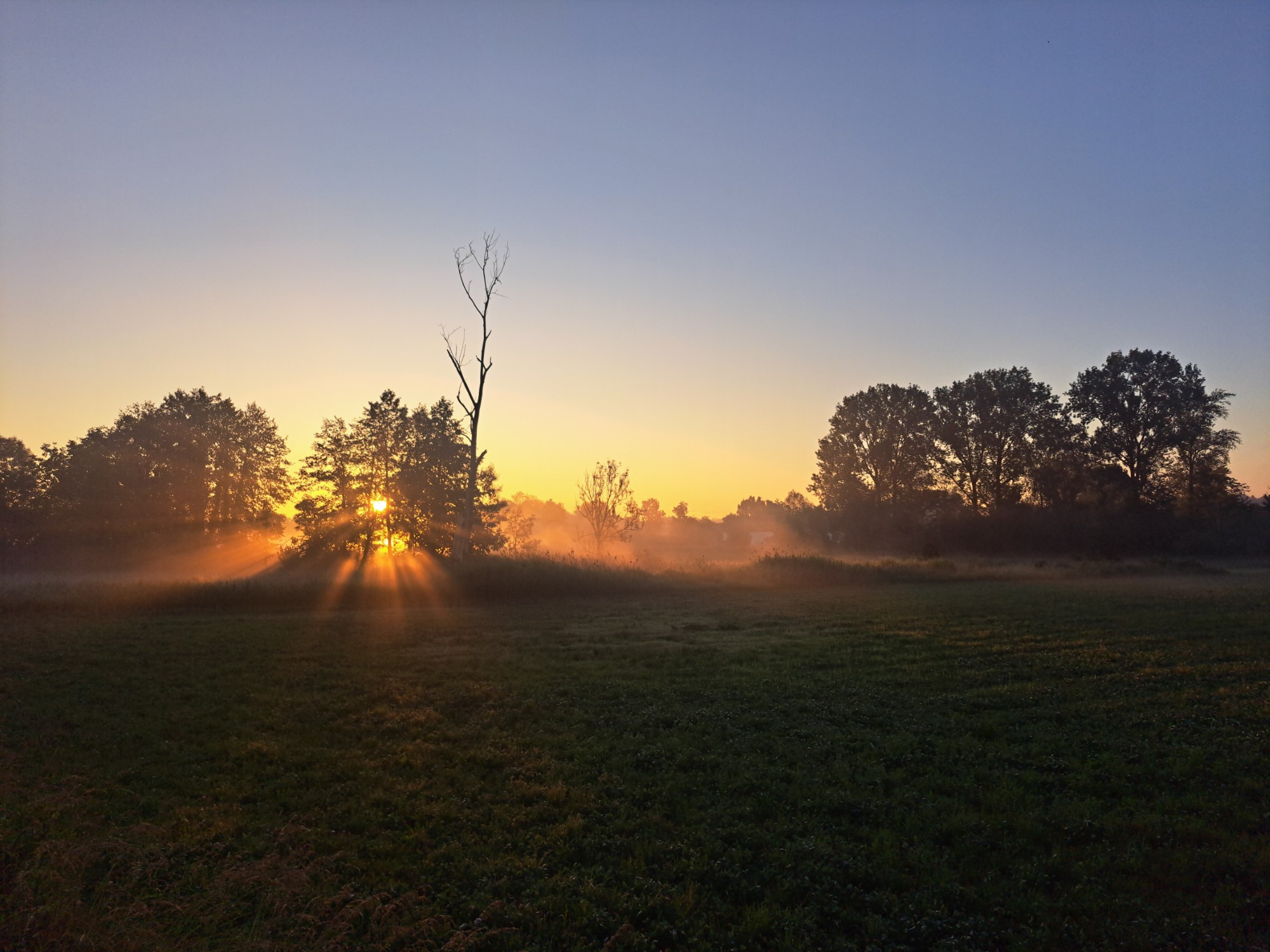 Sonnenaufgang in den Amperauen