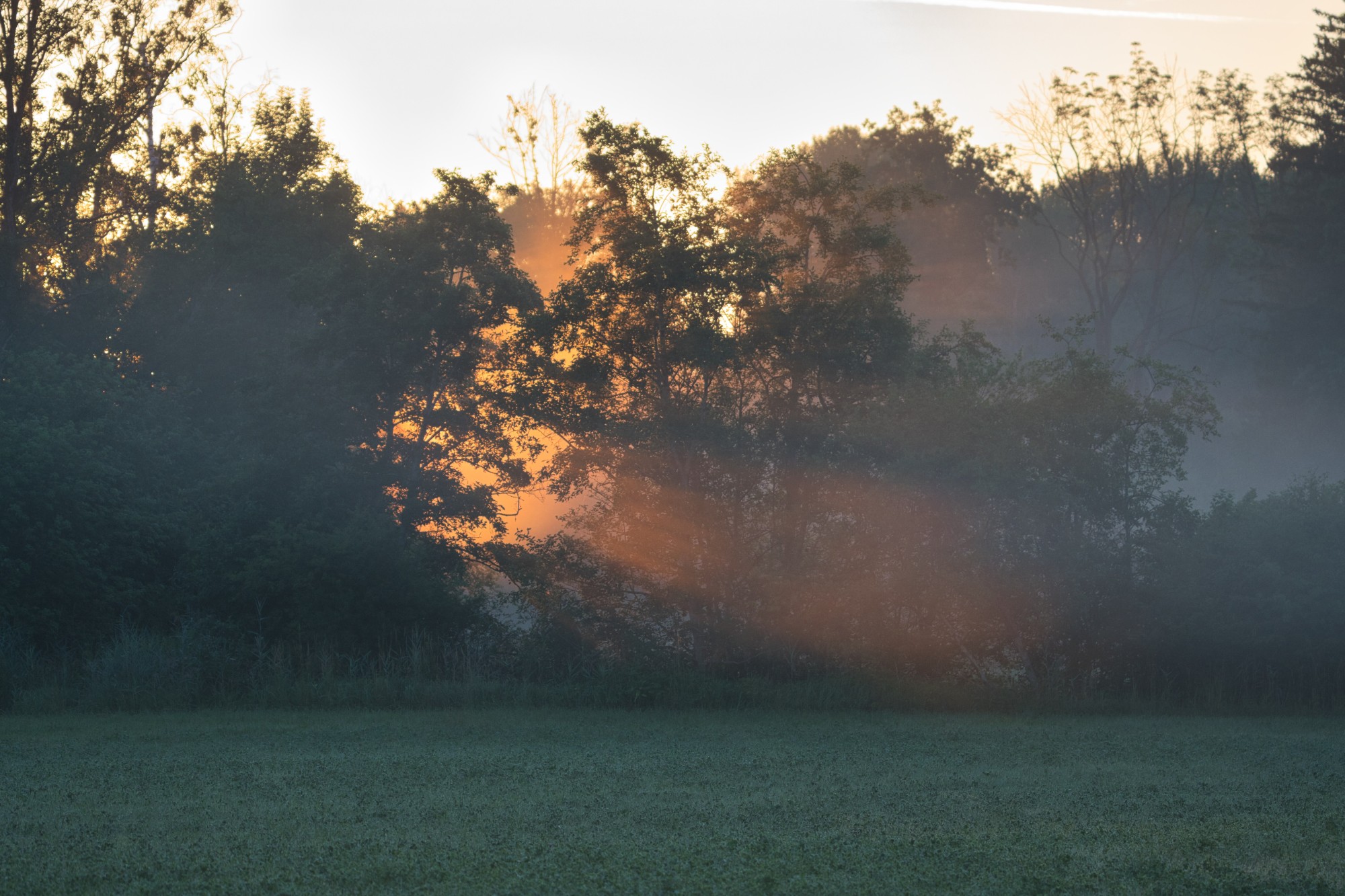 Sonnenaufgang in den Amperauen
