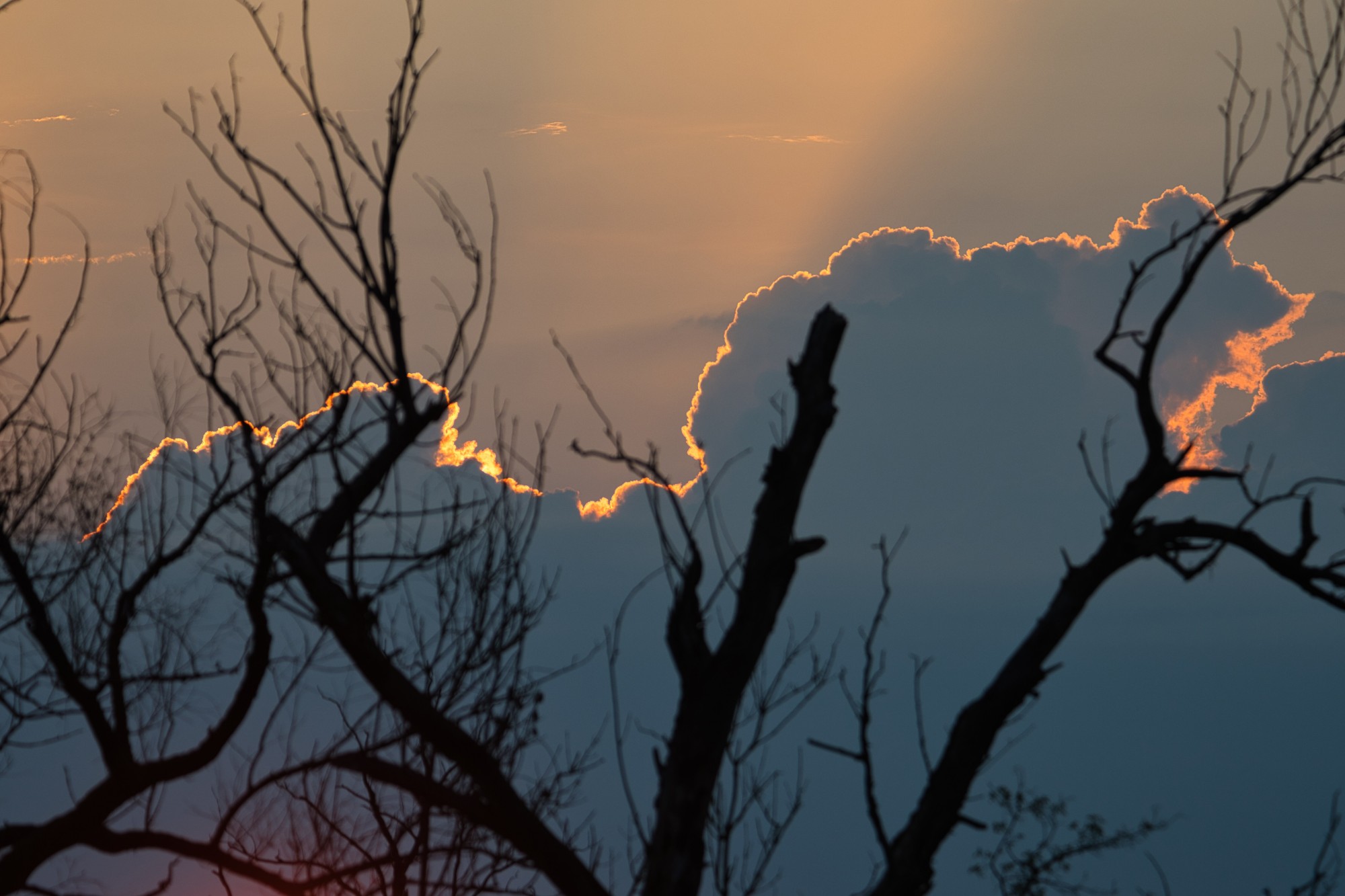 Sonnenaufgang in den Amperauen